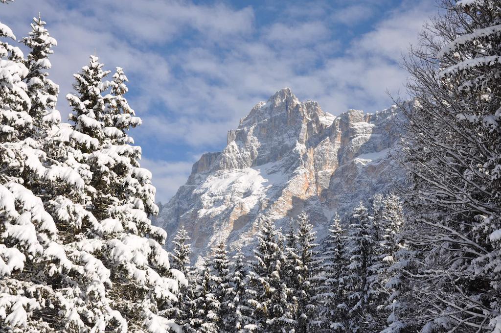 Hotel Roma San Vito di Cadore Eksteriør bilde