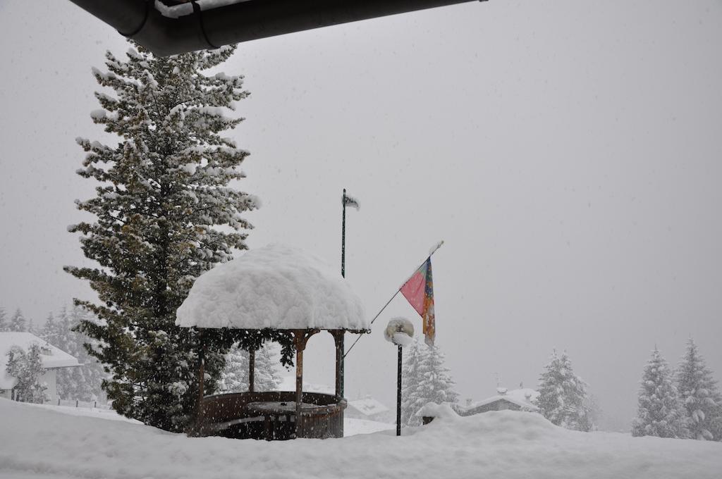 Hotel Roma San Vito di Cadore Eksteriør bilde